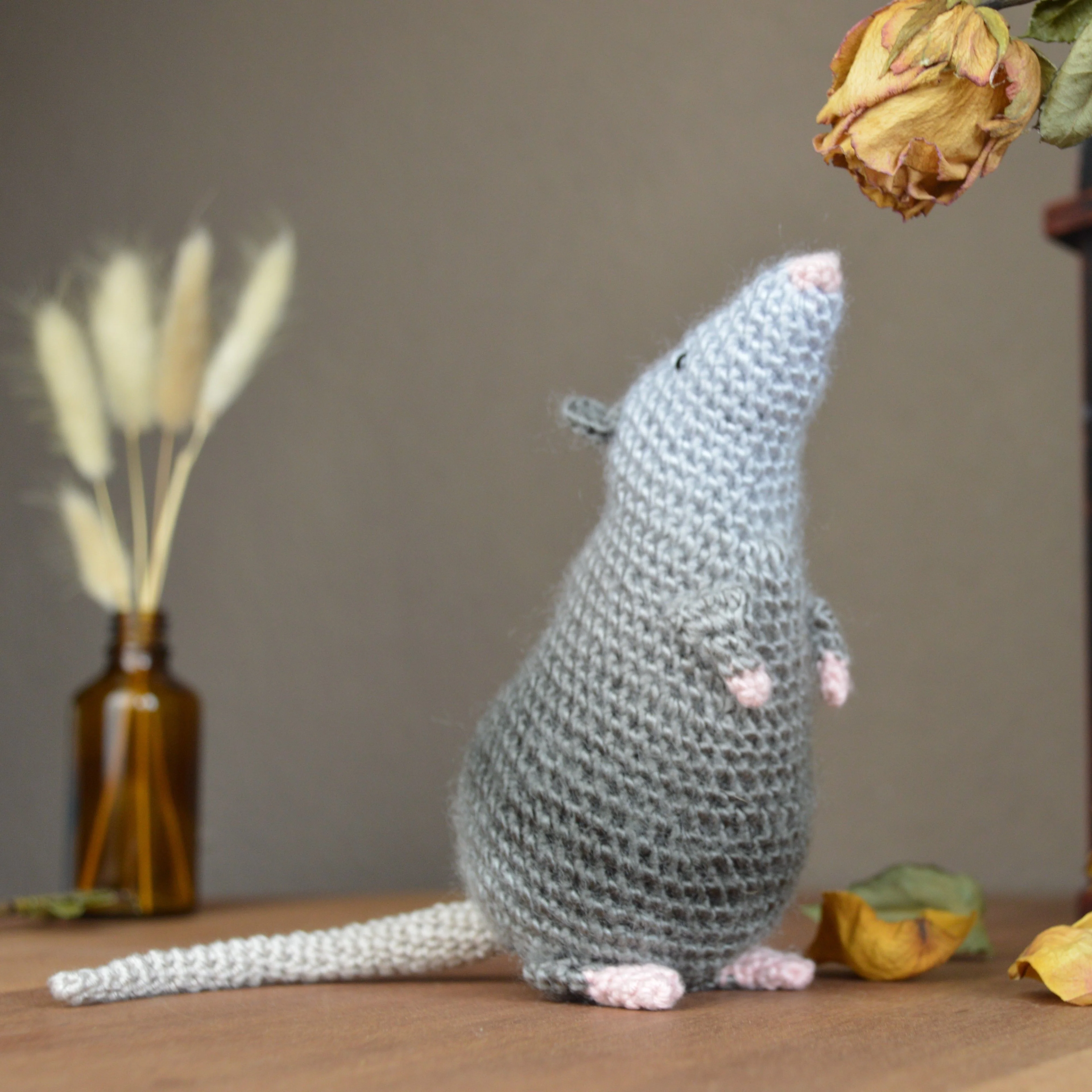 Die Ratte Rüdiger - Image 2