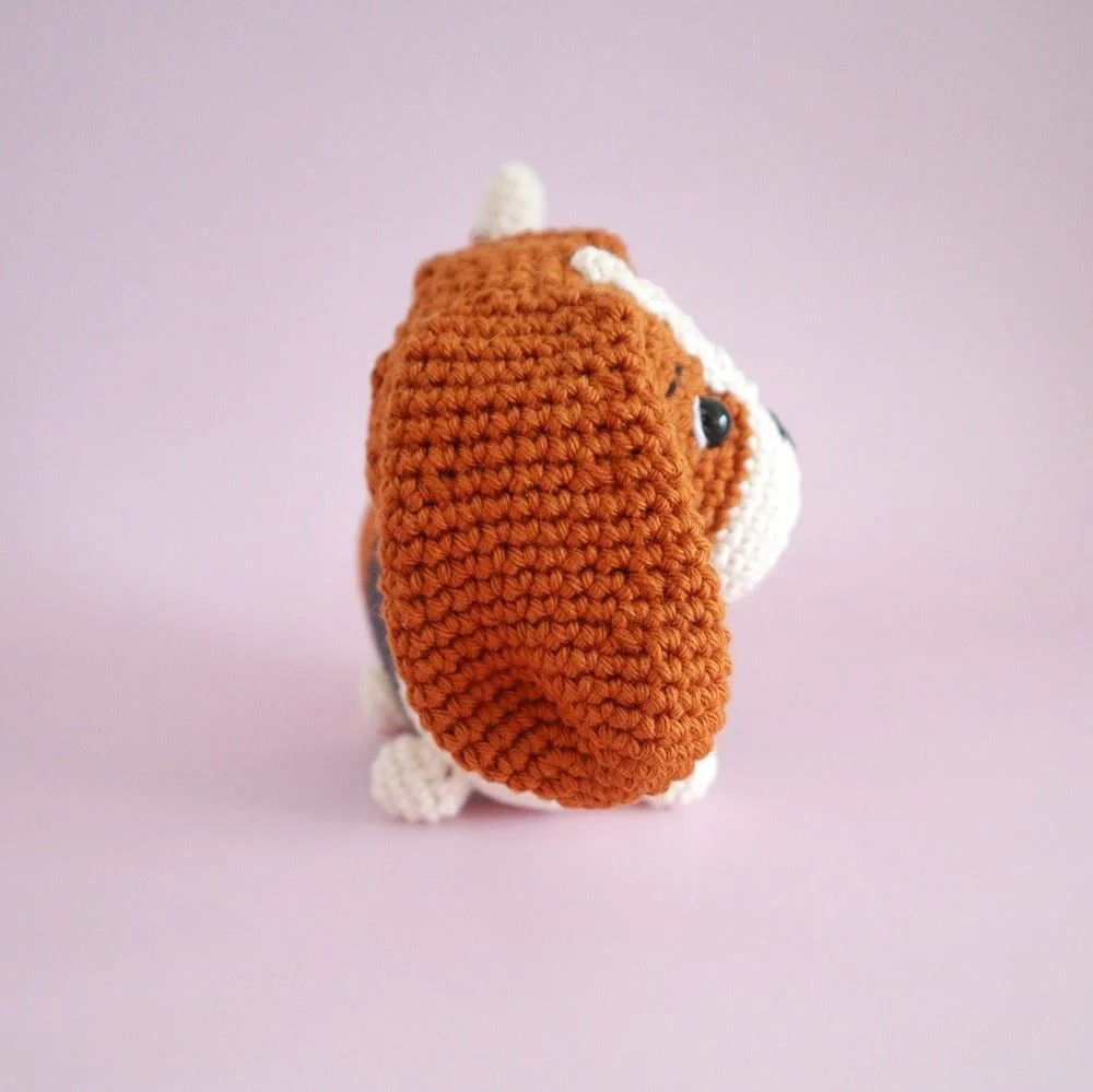 Gus, der Basset - Image 3