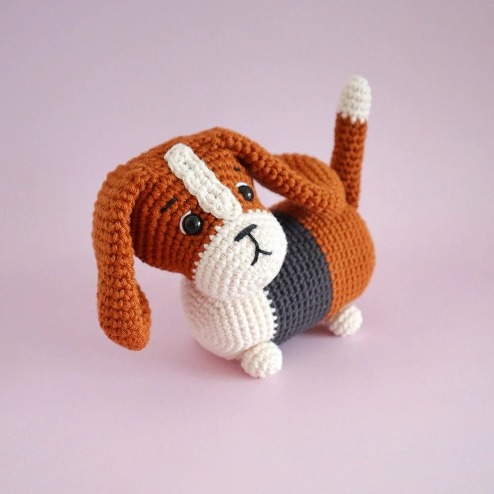 Gus, der Basset - Image 5