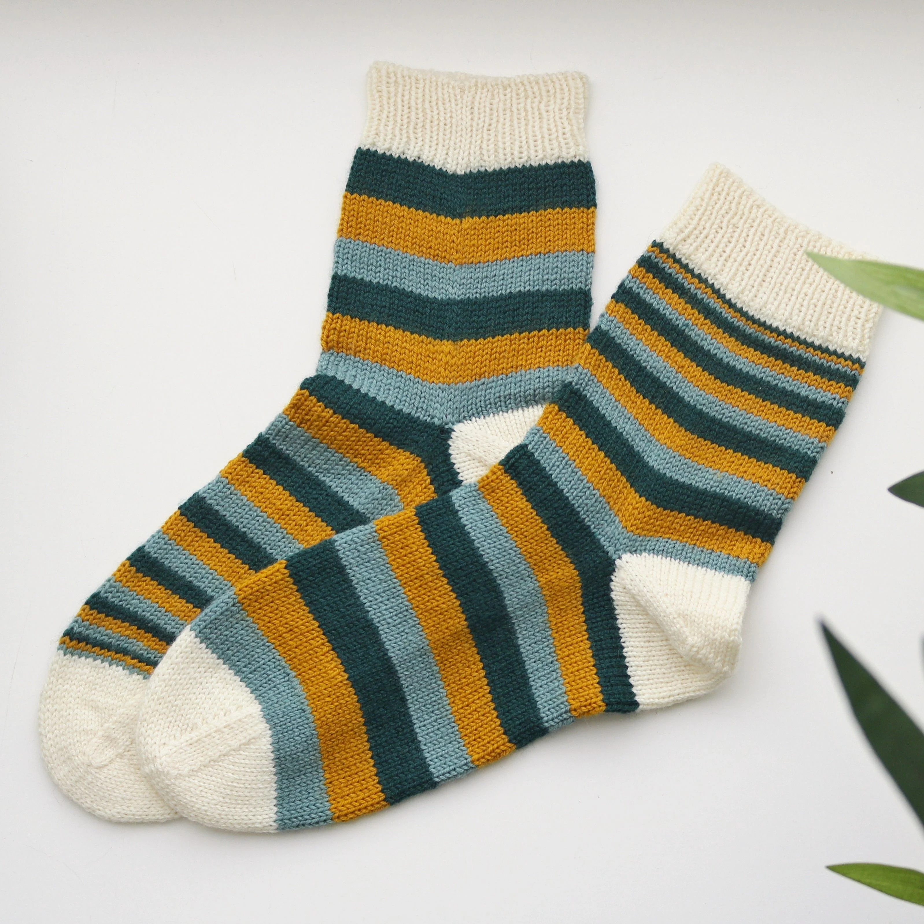 Mimidae - Socken